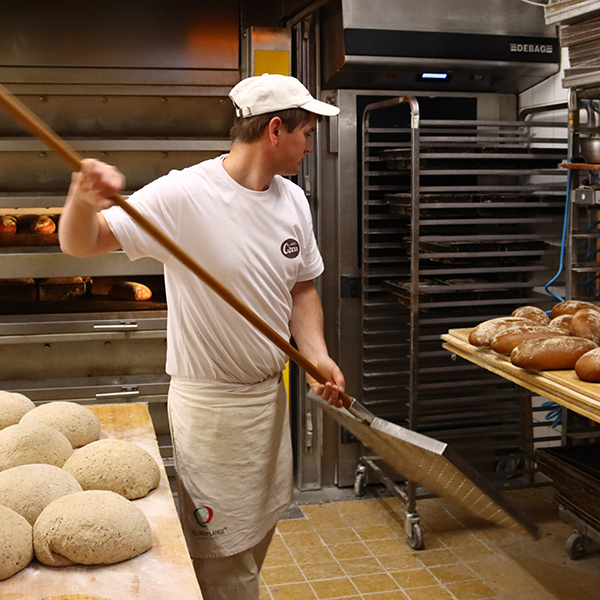 Brot Backhandwerk